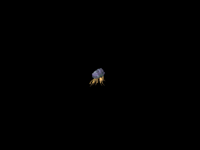 블롭 · 오른쪽